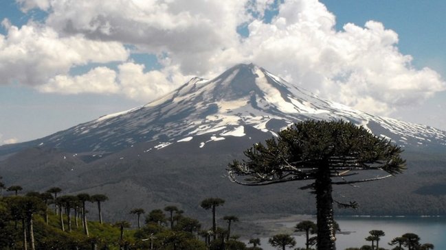 Encuentran muerto a docente desaparecido hace ocho meses en Parque Conguillío