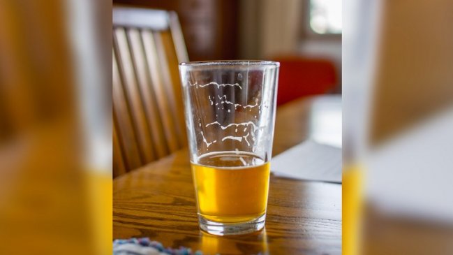 Servel rechazó gastos en vino y cerveza del Partido Radical, del Comunista y de RN