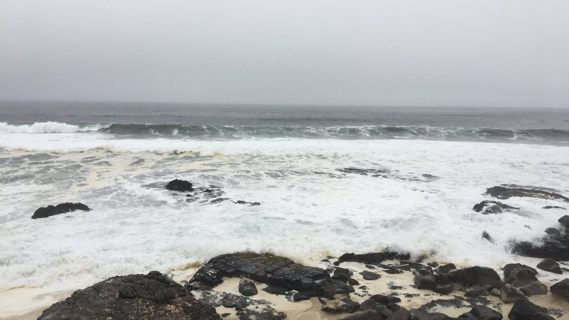 Autoridades fiscalizan acceso a playas de O'Higgins