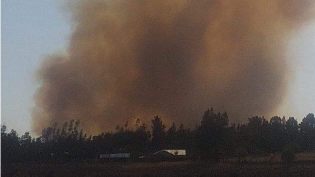 Declaran alerta roja en cuatro comunas de La Araucanía por incendios forestales