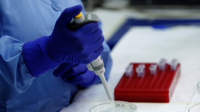 Trabajador agrícola es el primer caso confirmado de hanta de este año en Ñuble