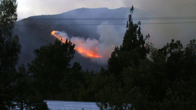 Incendios forestales se han reducido en un 72% respecto a los últimos cinco años