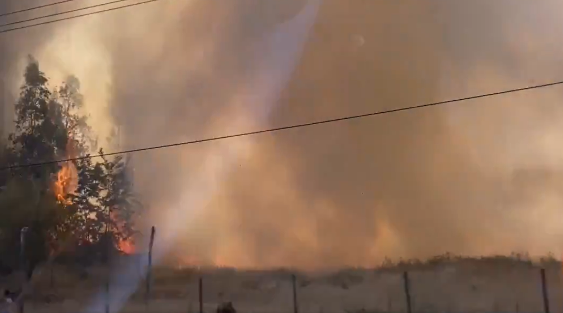 Intendencia declara alerta roja para Chimbarongo por incendio forestal