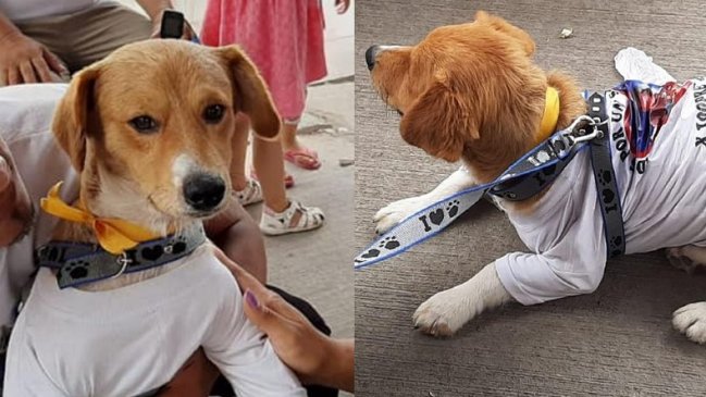 Niño salvó a su perro de un incendio, pero las llamas lo alcanzaron y murió