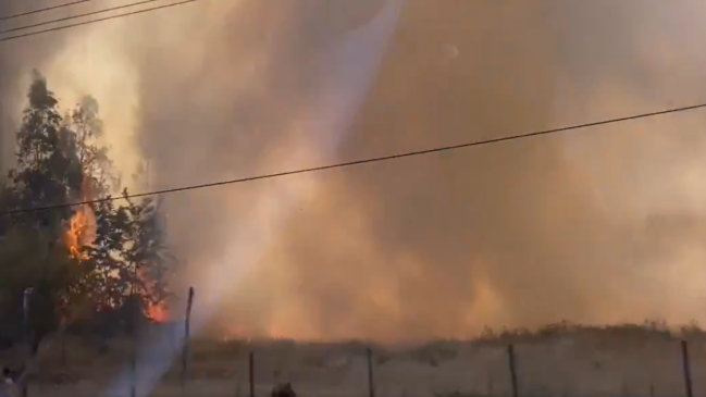 Intendencia declara alerta roja para Chimbarongo por incendio forestal