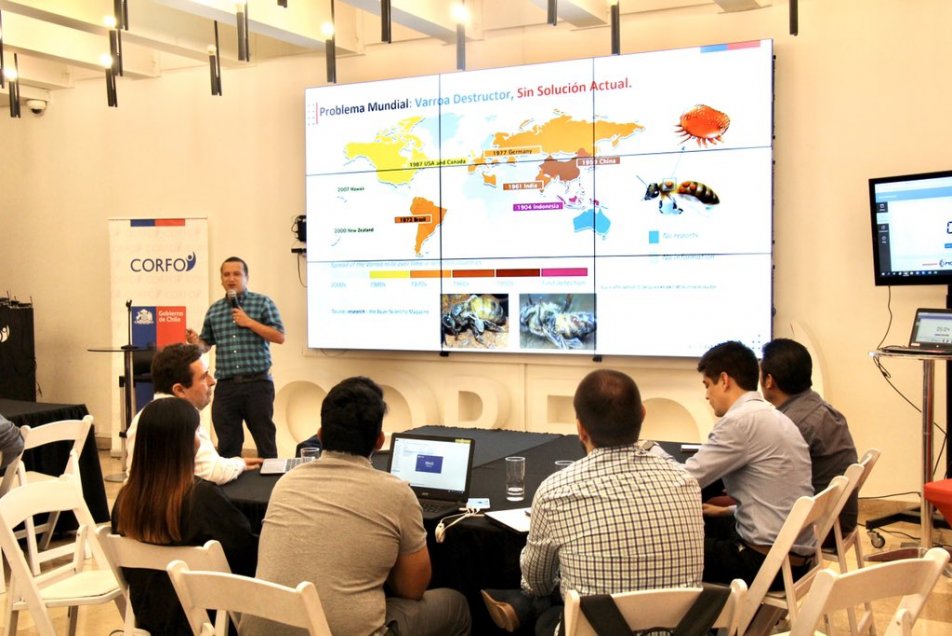 Corfo activa programa para apoyar desarrollo de 200 empresas de la Provincia de Punilla