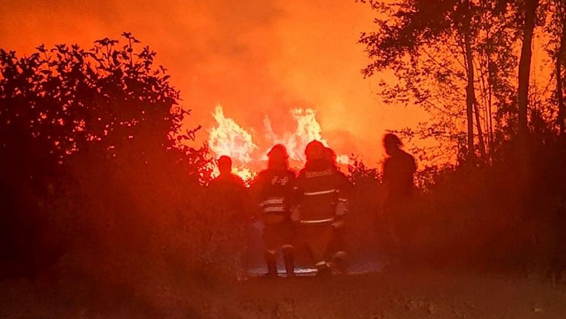 Tres municipios se querellaron por incendio en la Reserva Nacional Nonguén