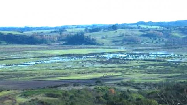 Temuco: Solicitan declarar humedal urbano a las Vegas de Chivilcán