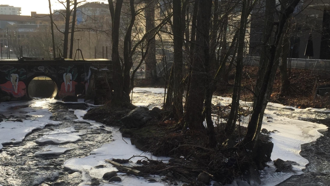 Altas temperaturas en Siberia baten récord en un invierno inusual