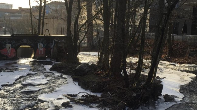 Altas temperaturas en Siberia baten récord en un invierno inusual