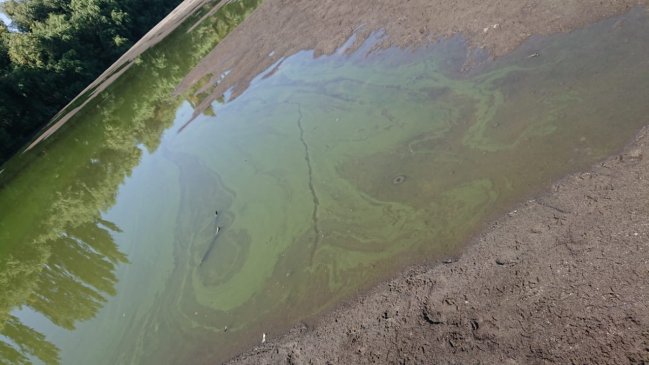Gobierno instruyó fiscalización por denuncia de contaminación en río Mataquito