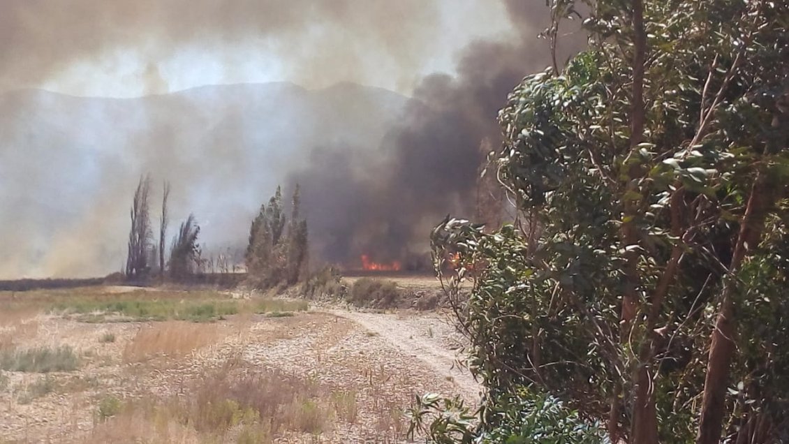 Intendencia de Valparaíso declaró Alerta Amarilla para la comuna de San Felipe por incendio forestal