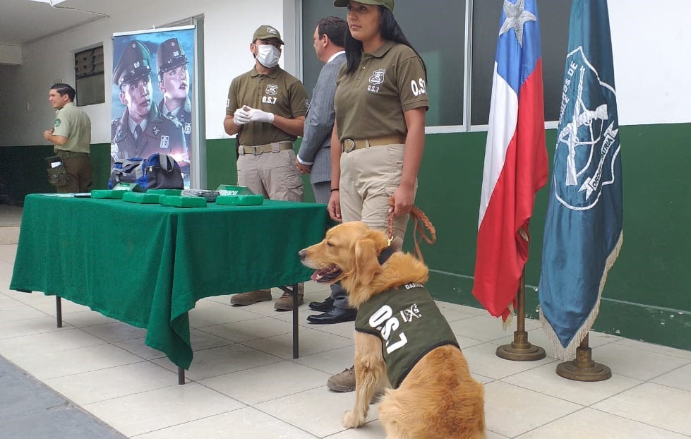 En prisión preventiva quedó sujeto acusado de trasladar droga en su equipaje
