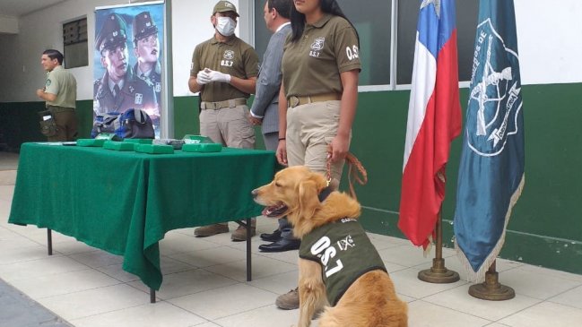 En prisión preventiva quedó sujeto acusado de trasladar droga en su equipaje