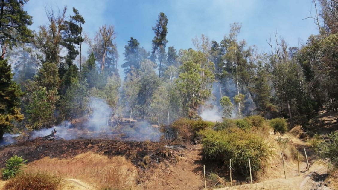 Talca bajo alerta roja por incendio forestal en Cerro La Virgen