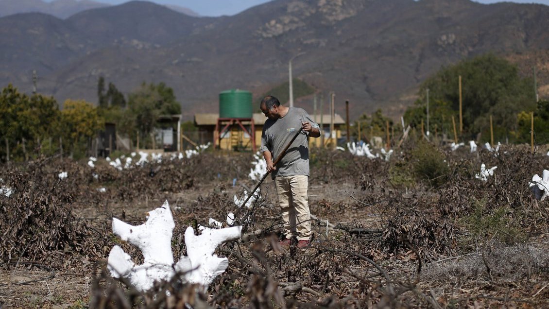Gobierno presentó proyecto que pretende modernizar el Ministerio de Agricultura