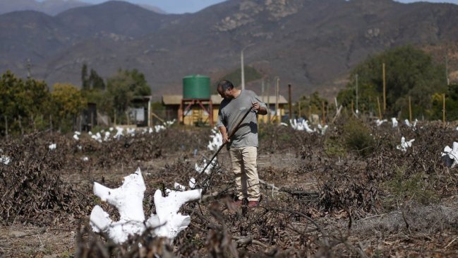 Gobierno presentó proyecto que pretende modernizar el Ministerio de Agricultura