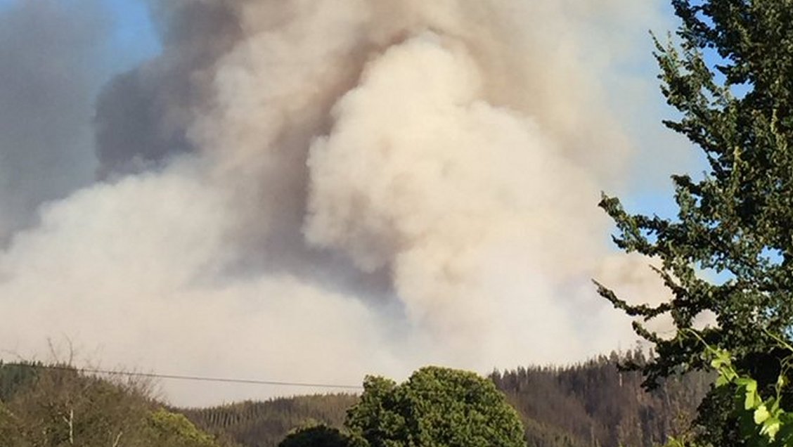 Declaran alerta roja en Hualqui por incendio forestal que consume 1.800 hectáreas