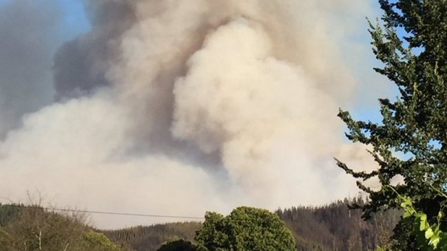 Declaran alerta roja en Hualqui por incendio forestal que consume 1.800 hectáreas