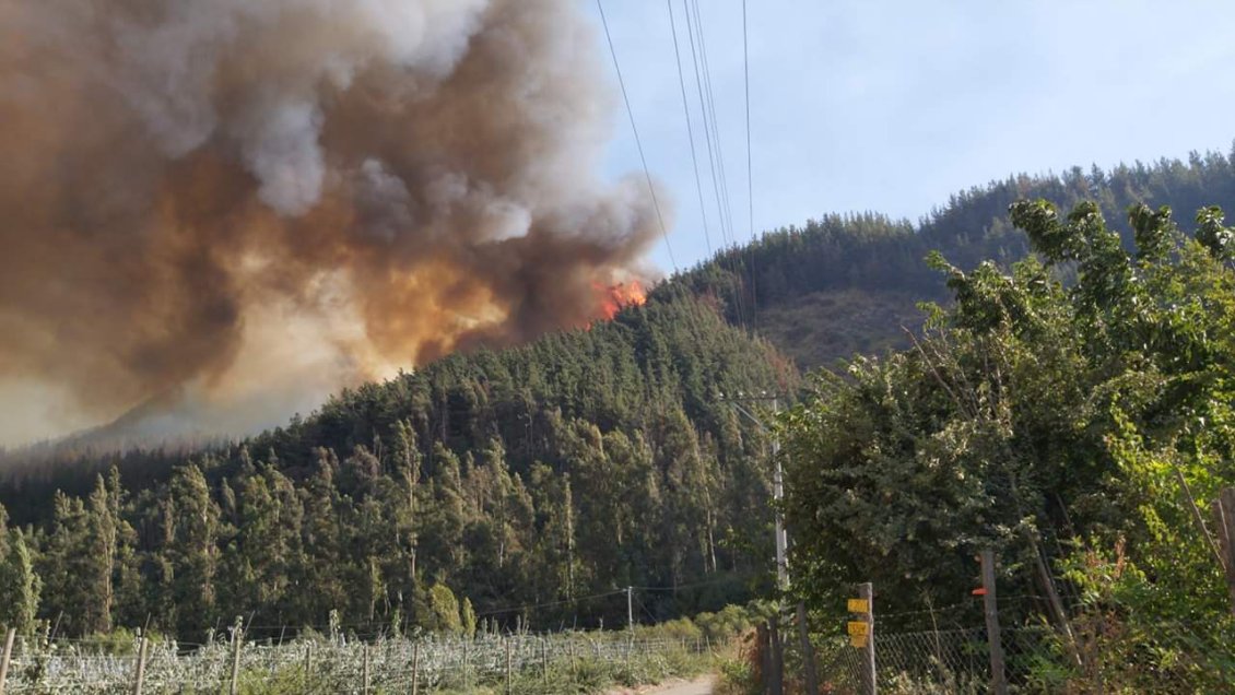 Intendencia del Maule declaró Alerta Roja para la comuna de Romeral por incendio forestal