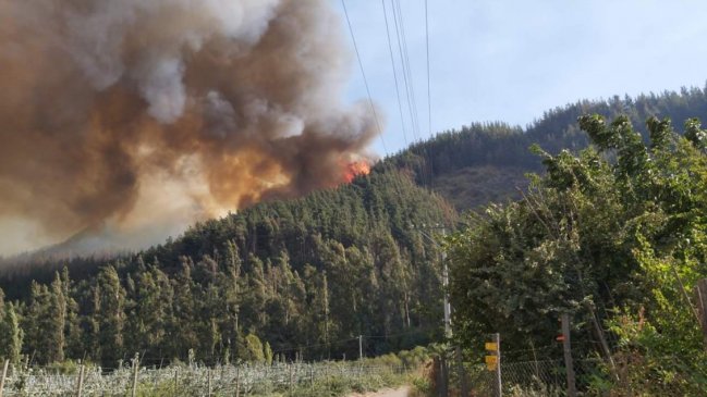 Intendencia del Maule declaró Alerta Roja para la comuna de Romeral por incendio forestal