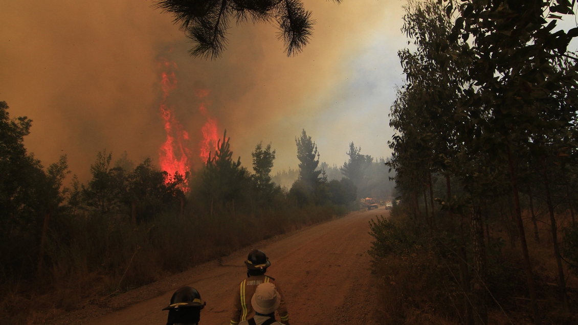 Hualqui continúa bajo alerta roja por incendio forestal