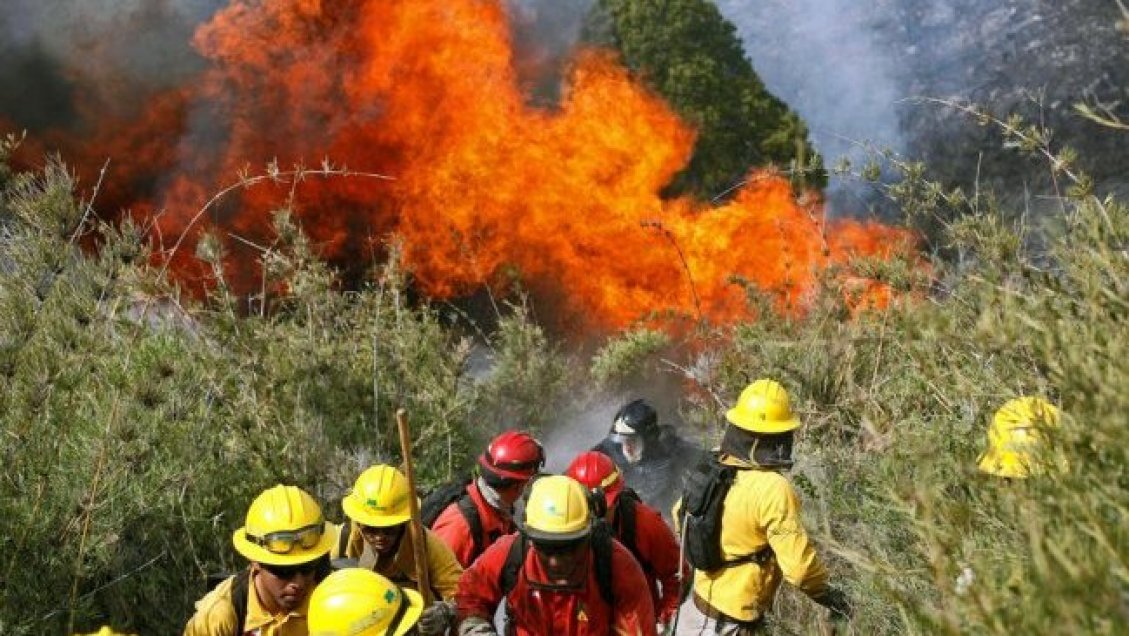 Alerta amarilla por incendios en Ñuble: Focos activos en Quirihue, Pinto, San Nicolás y Portezuelo