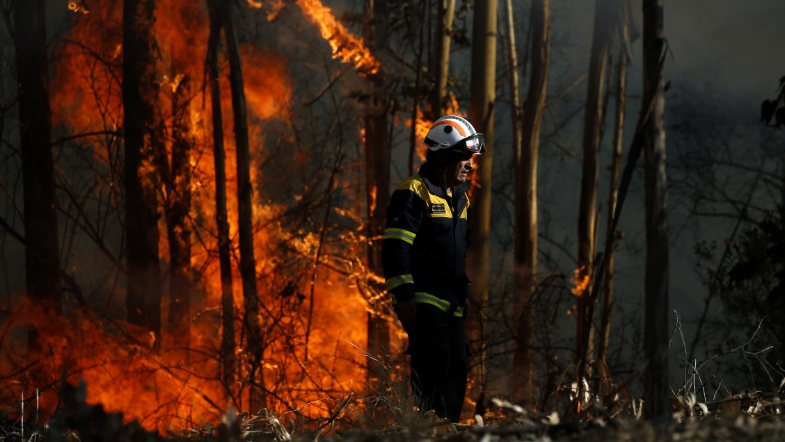 Onemi bajó de roja a amarilla la alerta por incendio forestal en Renaico