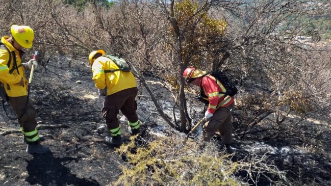 Unidades militares se unieron a combate de incendio forestal en cercanías del Radal Siete Tazas