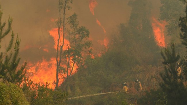 Fiscalía investiga posible intervención de terceros en incendio en cercanías del Radal Siete Tazas