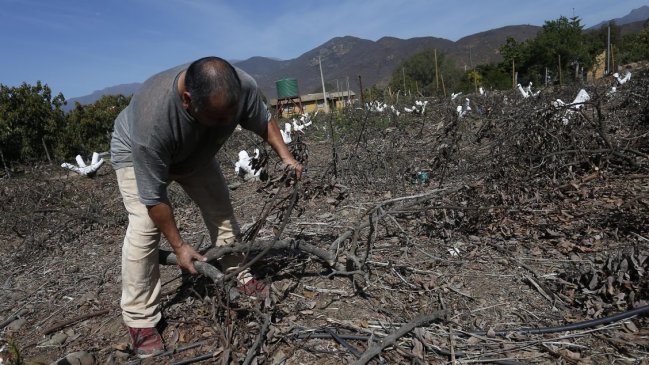 Alcalde de San Javier: No hemos tenido ninguna respuesta del Gobierno para enfrentar la sequía