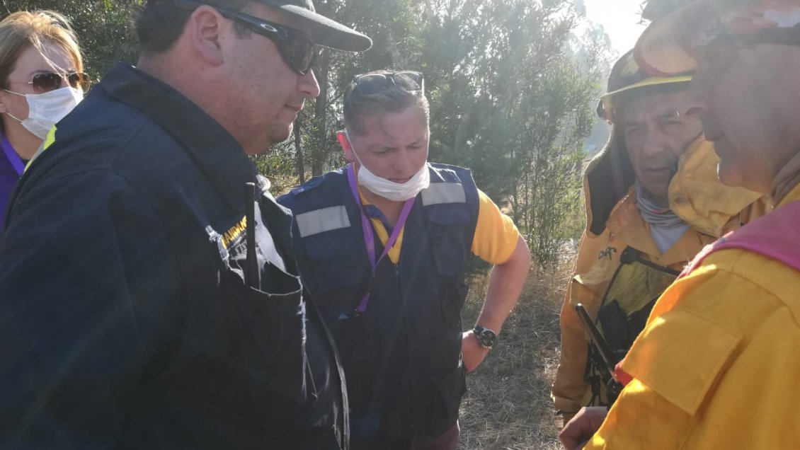 Decretan alerta roja para cuatro comunas de La Araucanía por incendios forestales