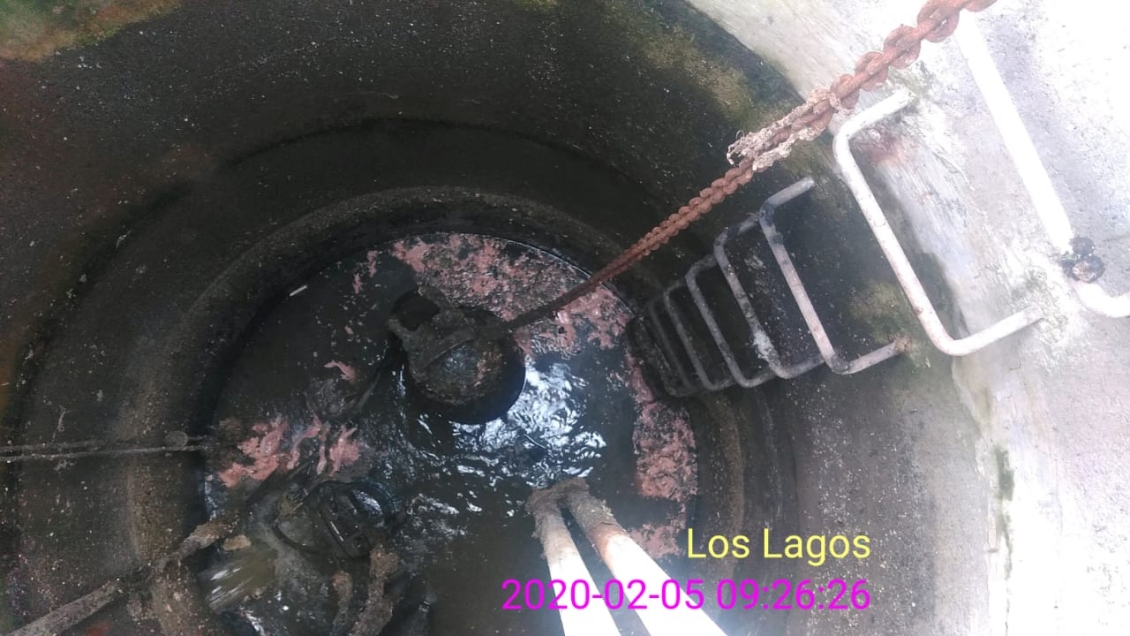 Asqueroso hallazgo: Encuentran vísceras de pescado en alcantarillado de Ancud