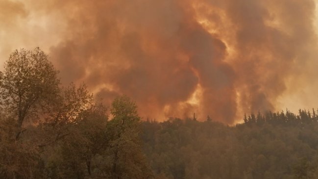 Incendio en Radal Siete Tazas: Cambio en la dirección del viento amenaza viviendas del sector norte