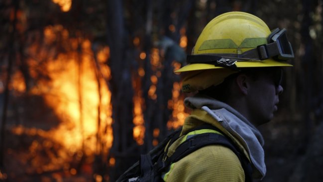 Declaran alerta roja para Quilpué por incendio forestal