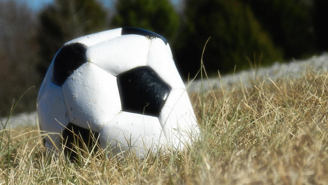 Valparaíso: Balacera en las gradas deja dos fallecidos durante partido de fútbol amateur