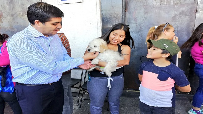 En cinco meses: Más de 3.700 microchips se han implantado a mascotas de la Provincia de Concepción