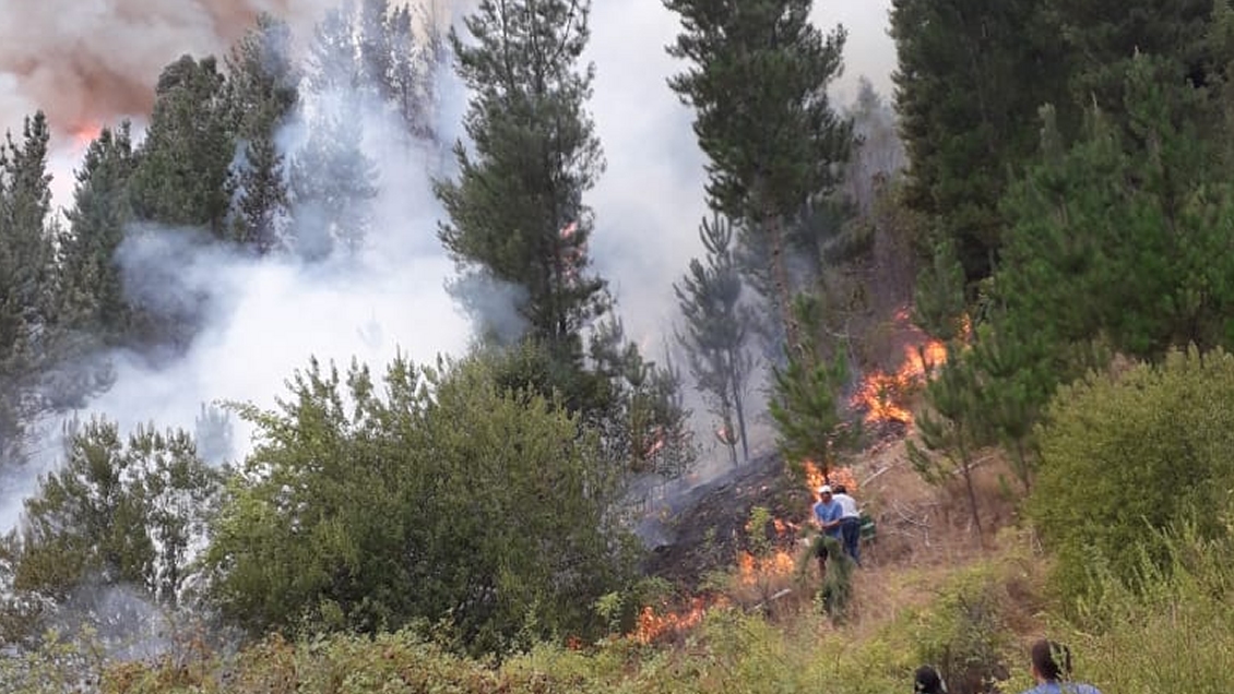 Incendio forestal en Santa Juana: Alerta baja de roja a amarilla
