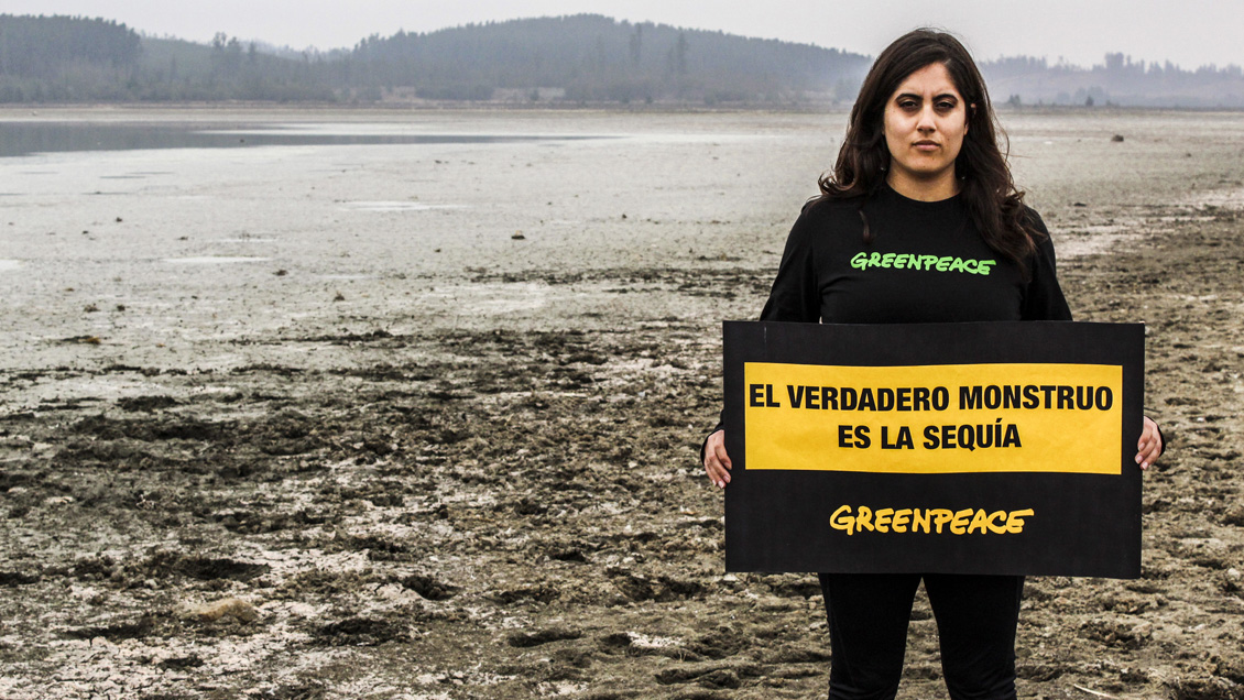 La mirada de Greenpeace ante Festival de Viña: 