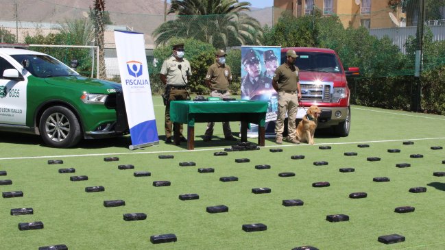 Incautan más de 600 mil dosis de pasta base de cocaína en Atacama