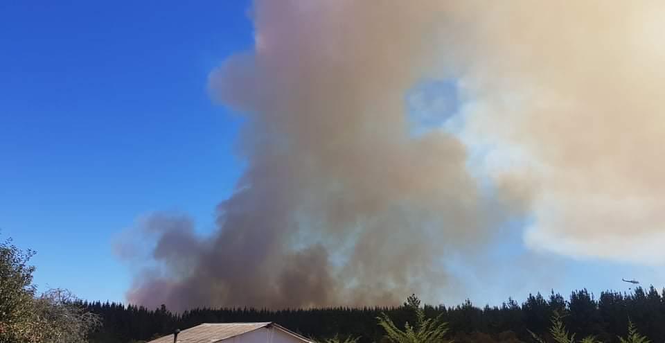 Intendencia declara alerta roja para Pichilemu por incendio forestal