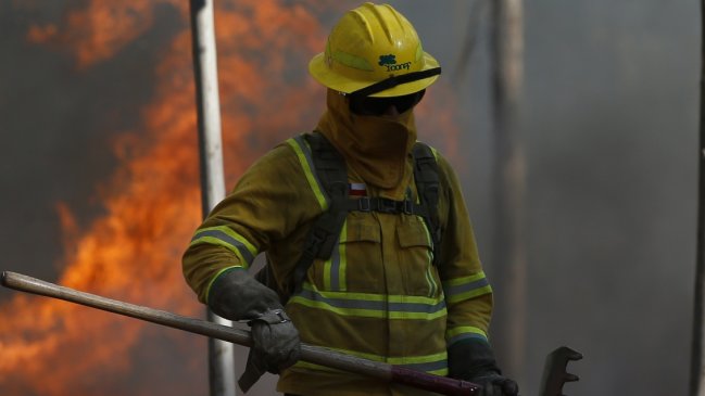 Decretan alerta roja en Temuco por incendio forestal en Cierro Ñielol