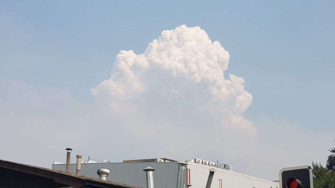 Incendio forestal en Requínoa ha consumido cerca de 700 hectáreas
