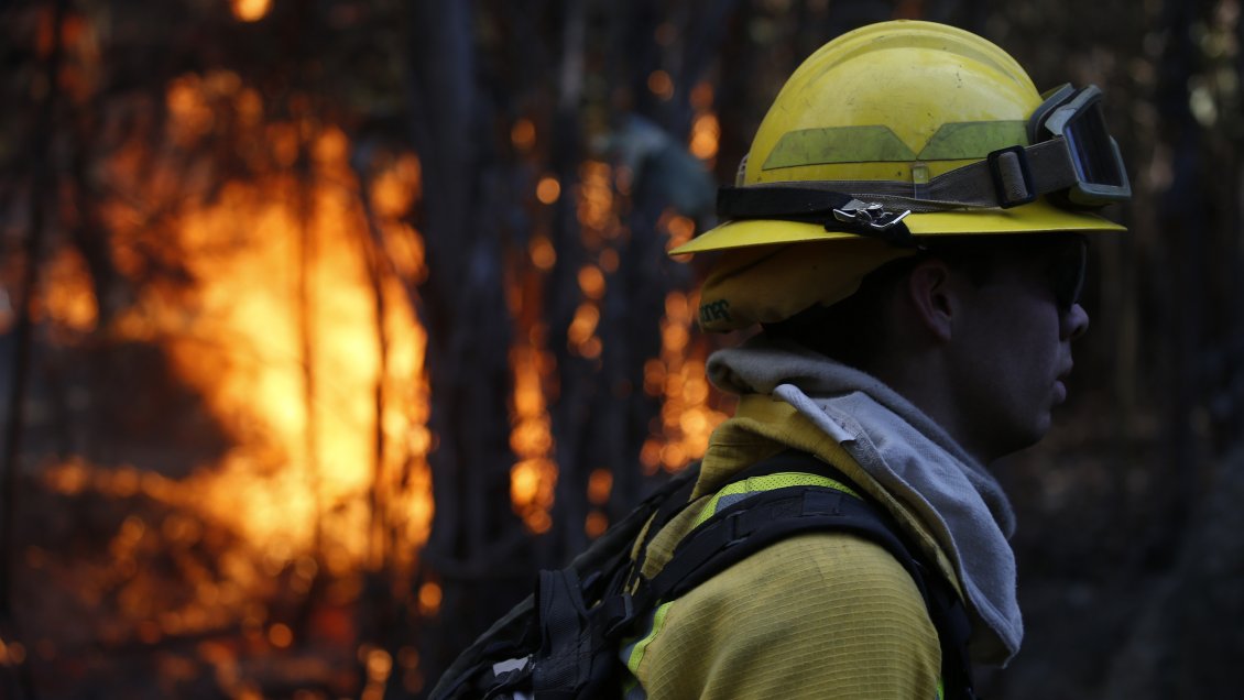 Adulto mayor murió en incendio forestal en Freire
