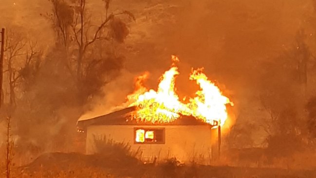Piden declarar zona de catástrofe por incendio forestal en Molina y Curicó