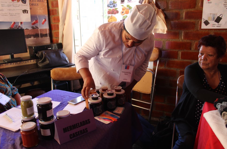 Consejo Regional de Ñuble aprueba recursos para impulsar más de mil nuevos emprendimientos