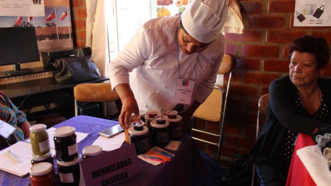 Consejo Regional de Ñuble aprueba recursos para impulsar más de mil nuevos emprendimientos