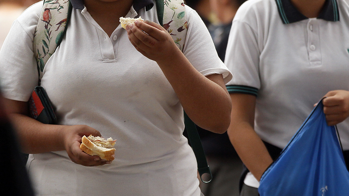 Uno de cada cuatro escolares tiene obesidad en Tarapacá