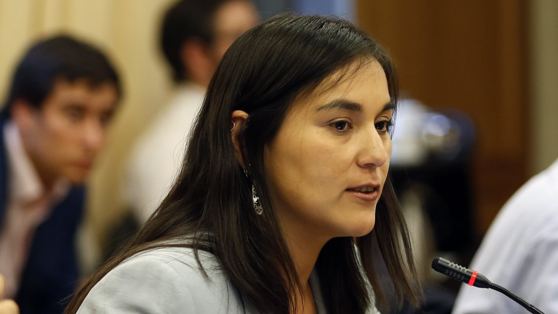 Presidenta del Colegio Médico: Sospecho que pasaremos el invierno sin vacuna para el coronavirus