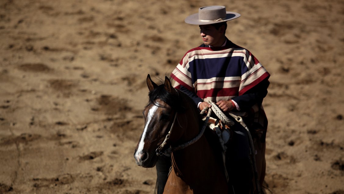 Comisión de Medio Ambiente rechazó abolir el rodeo
